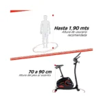 Bicicleta Fija Vertical Randes ARG-456 Magnetica - Image 5