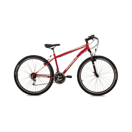 Bicicleta Rod.29 Enrique Vertigo