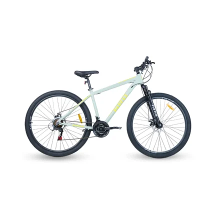 Bicicleta r29 MTB Enrique NRQ Vertigo